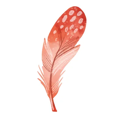feather