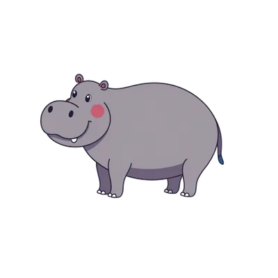 hippopotamus