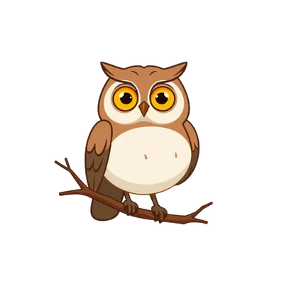 Hoot