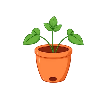 pot