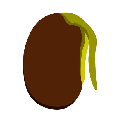 Planting a seed